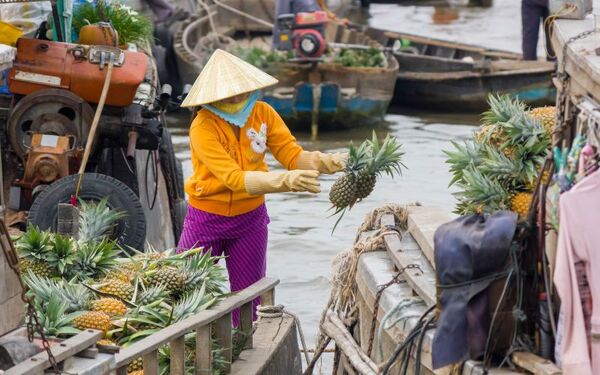 Chợ nổi miền Tây - Công Ty TNHH MTV Khám Phá Việt Nam
